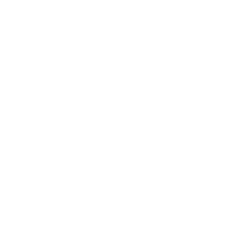MVP